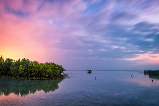 North of Qatar Tour, Zubara Fort, Mangroves, Jumail Village - What $65 buys you
