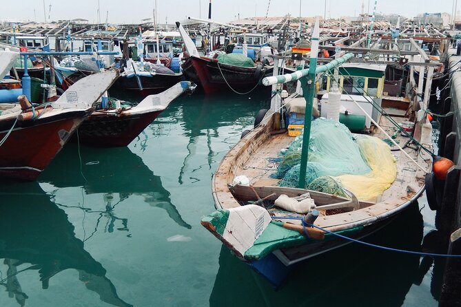 North Qatar Guided Expedition to Nature Charms - Why northern Qatar is worth your time