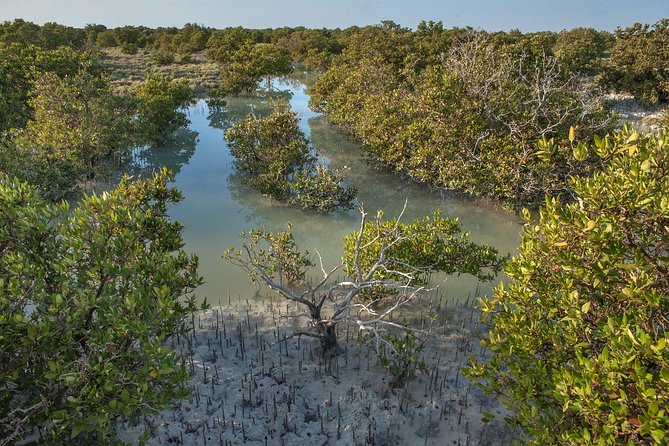 North Qatar Half-Day Tour: Al Zubarah, Purple Island & Mangroves - Al Thakhira Beach and an older coastal way of life