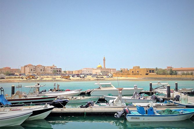 North Qatar Half-Day Tour: Al Zubarah, Purple Island & Mangroves - Al Zubara Fort, the tour’s strongest stop