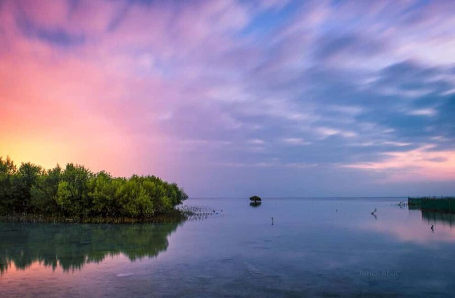 North Qatar: Zubara Fort, Jumail Village, Thakhira Mangroves - Why this North Qatar route is worth your time