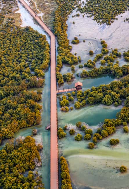 North Qatar: Zubara Fort, Jumail Village, Thakhira Mangroves - Jumail Village, a quiet look at older Qatar