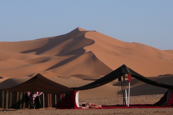 Premium Full-Day Safari, Dune Bash, Camel Ride and BBQ Meal in Desert Camp - At a Glance