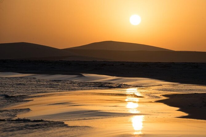 Private Desert Safari Fast Track - Sealine Beach: camels, falcons, and the first dunes