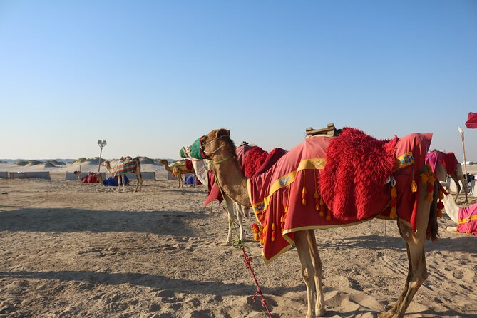 Private Desert Safari Tour 4 hours - Khor Al Udaid shows Qatar’s desert beside the sea