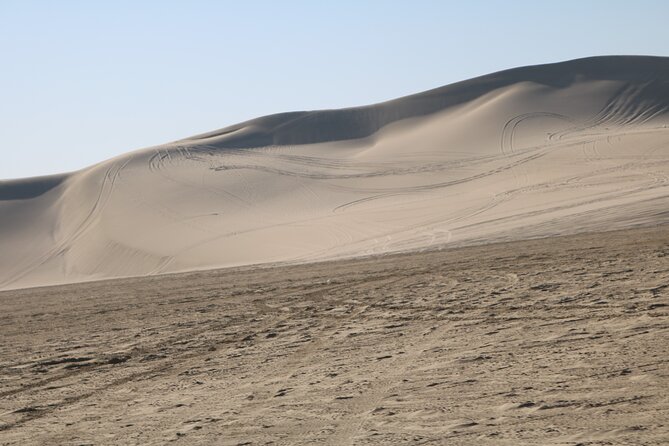 Private Desert Safari Tour 4 hours - Sandboarding adds a hands-on activity