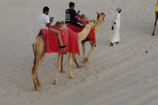 Private-Doha Horse Ride/Camel Ride/Quad Bike All Inclusive Tour - Key points to know before booking