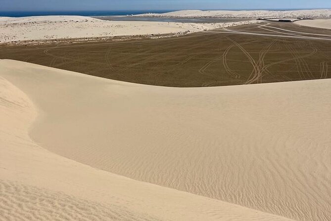 Private Dunes Bashing | Desert Safari | Sand Boarding - Who will enjoy this desert trip most