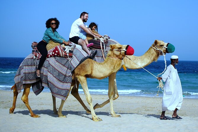 Private Full Day Desert Safari - Optional ATV rides, falcon photos, and shisha