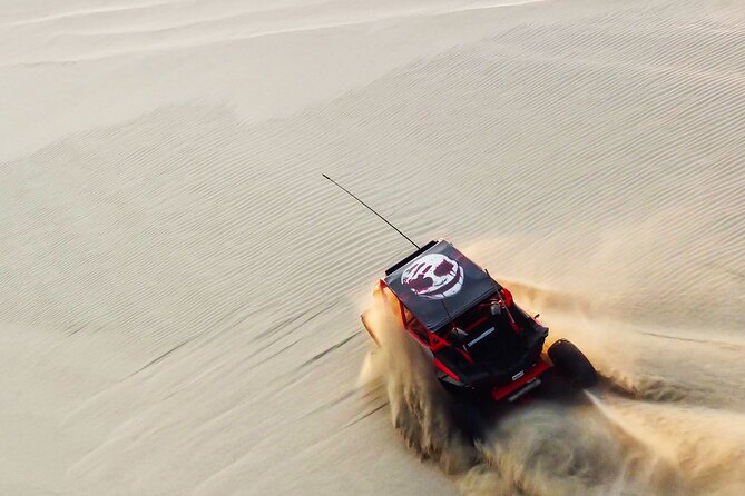 Private Full Day Desert Safari Dinner and Camel Ride in Doha - Key Points