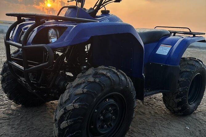 Private Full Day Desert Safari Dinner and Camel Ride in Doha - The Desert Camp and Buffet Dinner