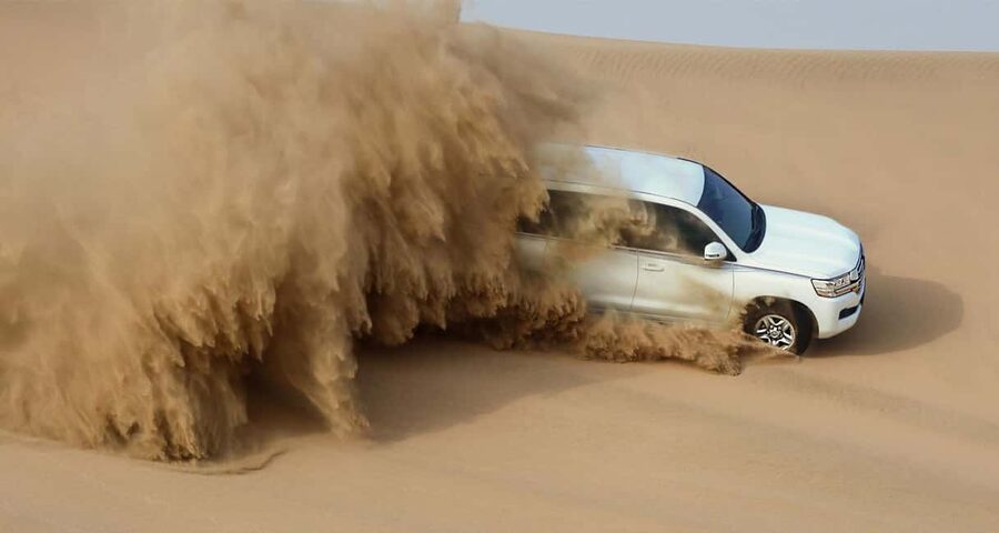 Private Full-Day Desert Tour - A full day from Doha to the southern desert