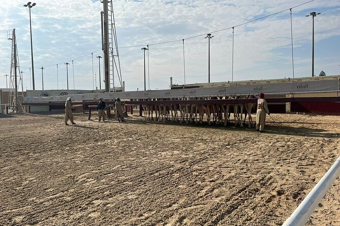 Private Full Day Guided Tour in Qatar North and West - Al Zubara Fort and Qatar’s major archaeological site