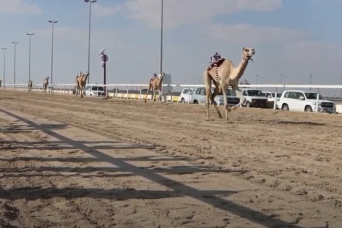 Private Full Day Guided Tour in Qatar North and West - Al Shamal and the far northern view