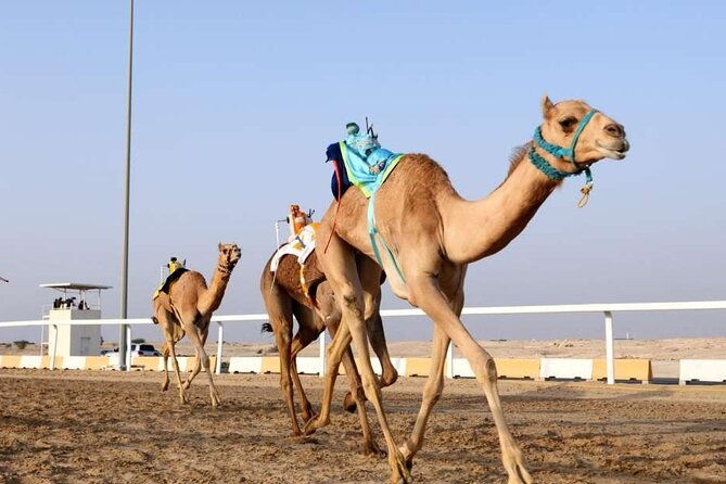 Private Full Day Guided Tour in Qatar North and West - Zekreet Fort ruins on the west coast