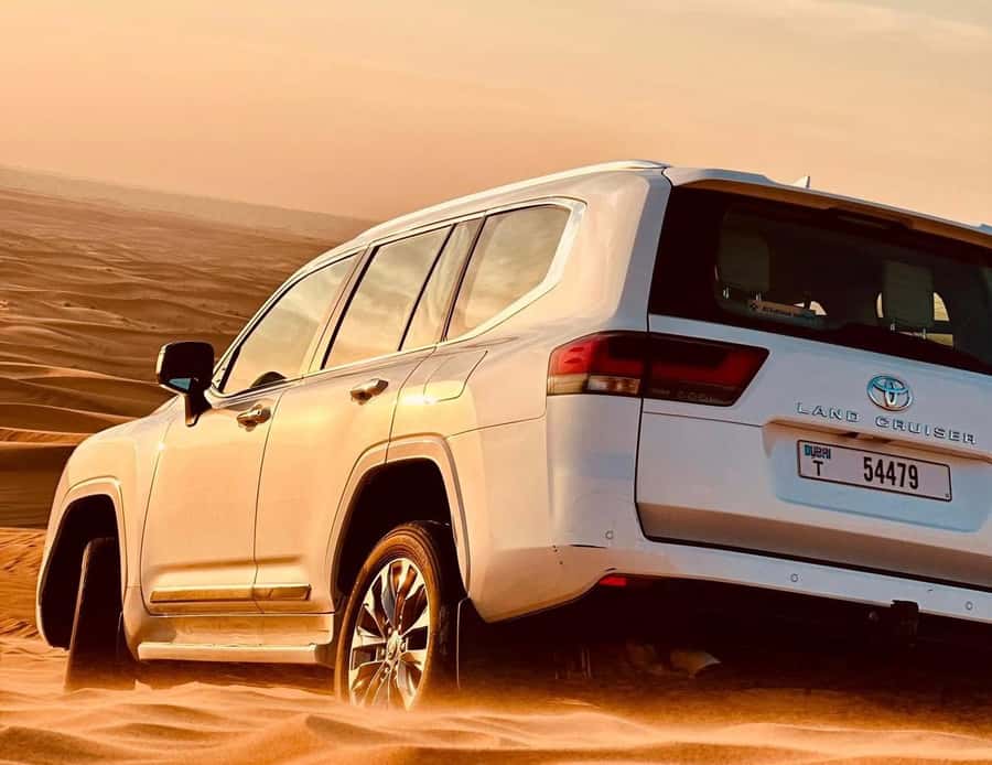 Private Gentle Sands Desert Experience Without Dune Bashing - Key points to know before booking