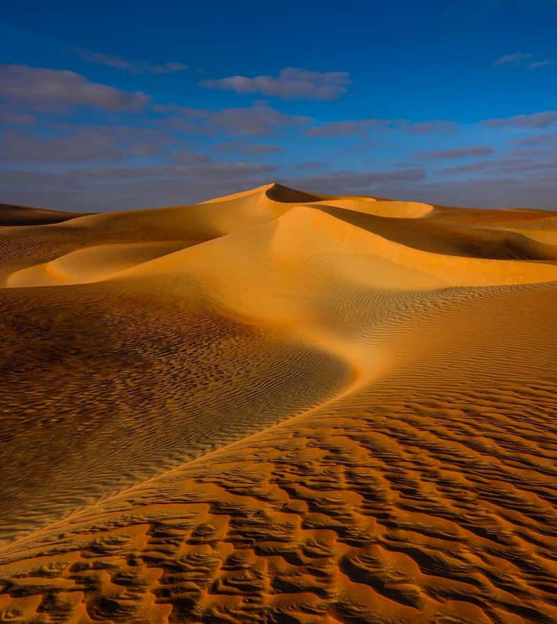 Private Gentle Sands Desert Experience Without Dune Bashing - Falconry gives the trip a cultural angle
