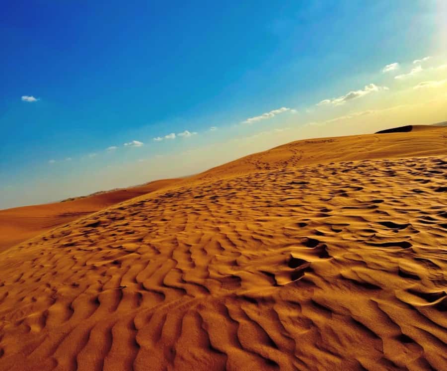 Private Gentle Sands Desert Experience Without Dune Bashing - What the $16 price includes