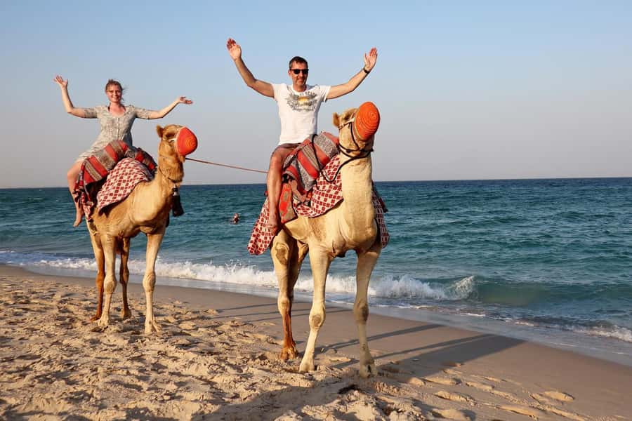Private Half-Day Desert Safari Tour+Camel Ride - The driver can make or break the outing