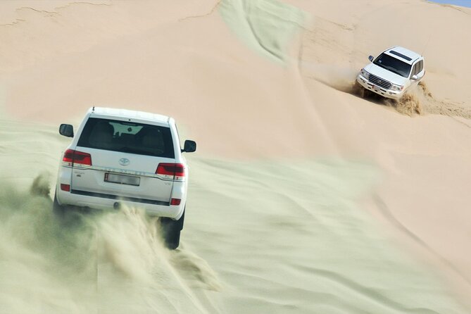 Private Half Day Desert Safari with Camel Ride - From Doha to the open Qatar desert