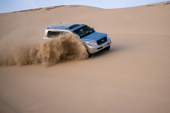 Private Half Day Desert Safari with Camel Ride - Sealine Beach and optional desert activities