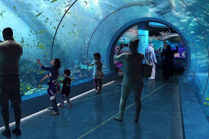 Private Hamad Port Tour in Mesaieed |Aquarium |Maritime Museum - What the Hamad Port visit is really about