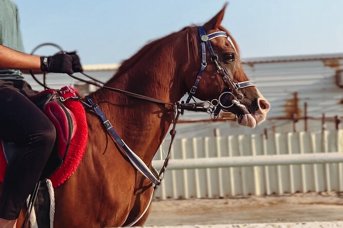Private Horse and Camel Riding Experience in Doha - Key points at a glance