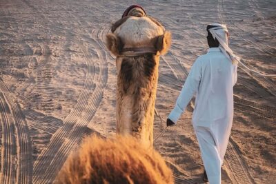 Private Horse and Camel Riding Experience in Doha