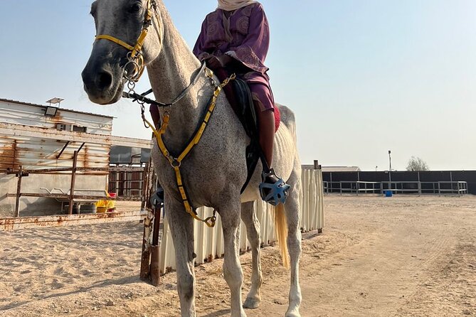 Private Horse and Camel Riding Experience in Doha - What the $150 price really covers