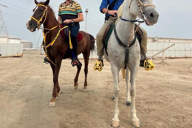 Private Horse and Camel Riding Experience in Doha - How the schedule feels in real time
