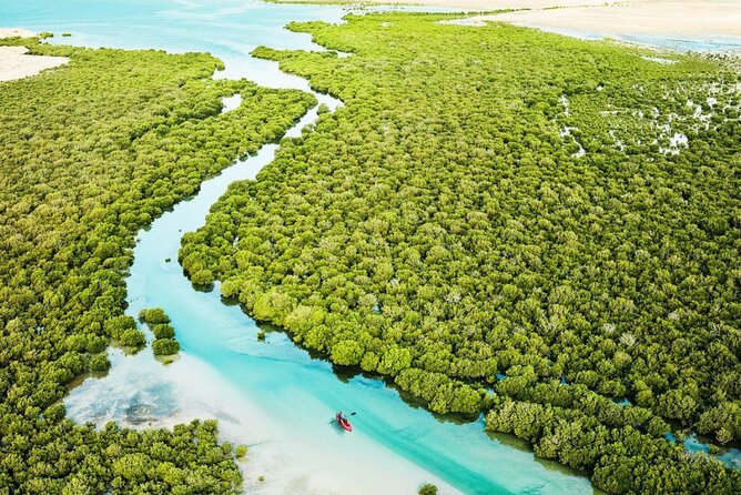 Private North of Qatar Tour - Is $65.87 per person good value?