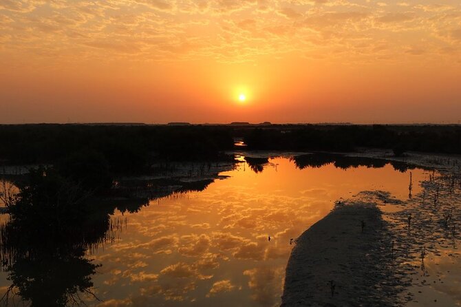 Private North of Qatar: Zubara Fort | Jumail Village | Al-Thakhira Mangroves - Al Thakhira’s mangrove coast