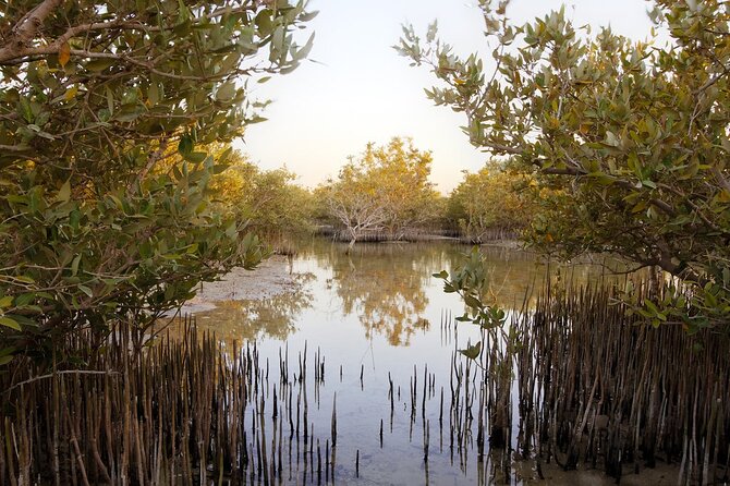 Private North of Qatar: Zubara Fort | Jumail Village | Al-Thakhira Mangroves - Jumail Village and the importance of checking the route