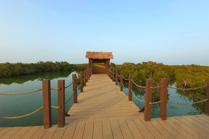 Private Tour in Northern Qatar - Why Northern Qatar is worth your half-day