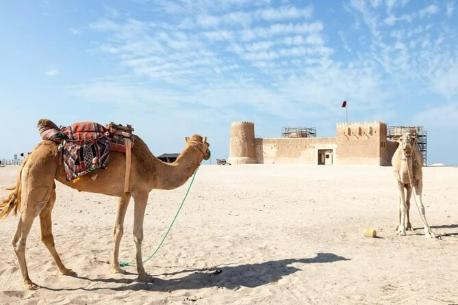 Private Tour in Northern Qatar - Purple Island’s mangroves and birdlife