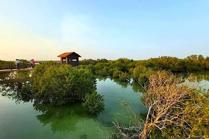 Private Tour in Northern Qatar - Al Jumail, an old fishermen’s village