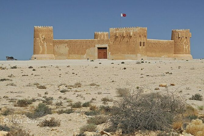 Private Tour in Northern Qatar - Leaving Doha for Qatar’s northern coast
