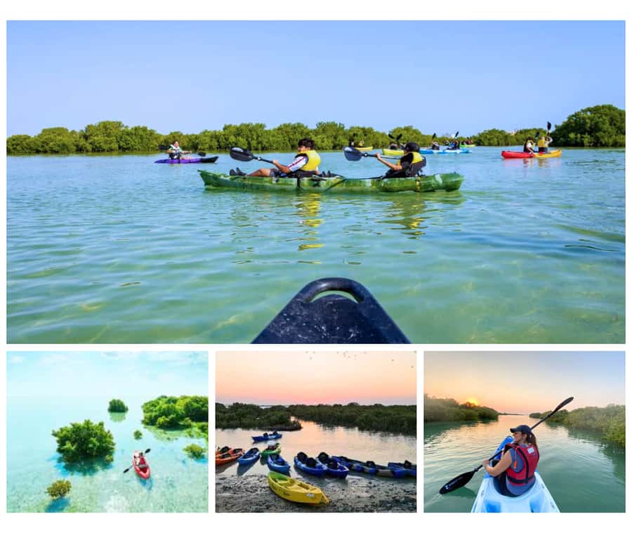 Qatar: Al Thakira Mangrove Forest Kayaking Tour - Why Al Thakira is worth your time