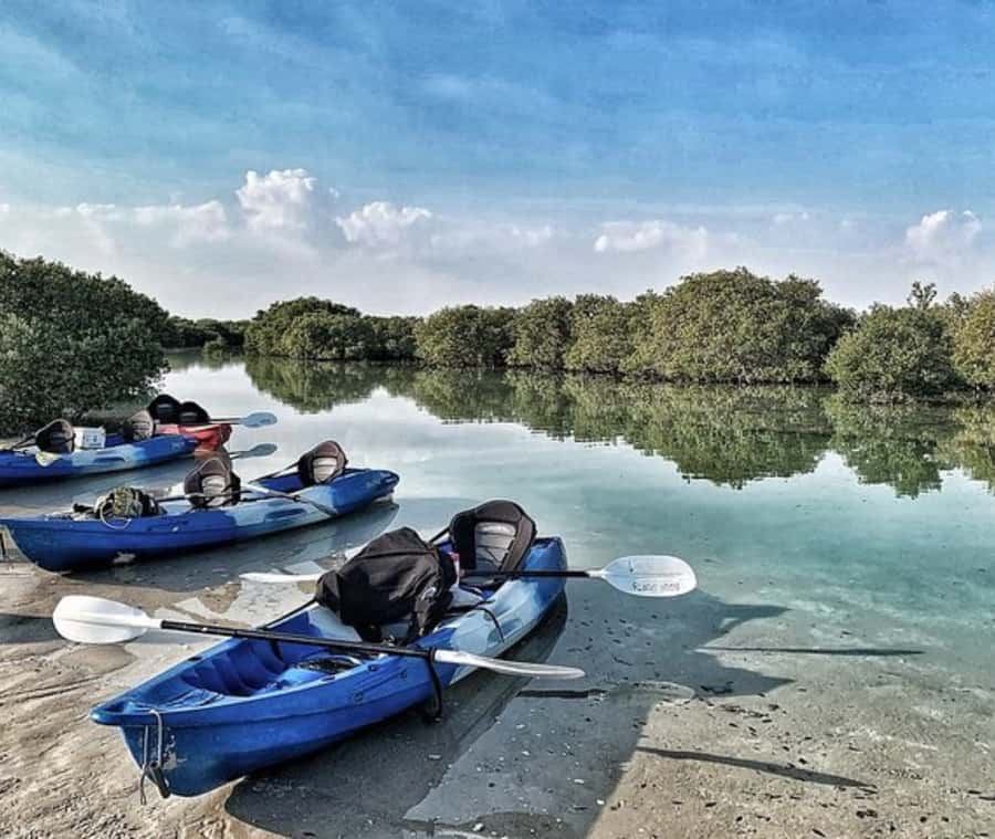 Qatar: Al Thakira Mangrove Forest Kayaking Tour - Arriving at the mangrove forest