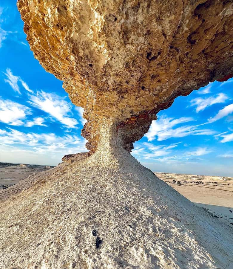 Qatar: Combo Tour of the North and West with Pickup - What the eight-hour day feels like