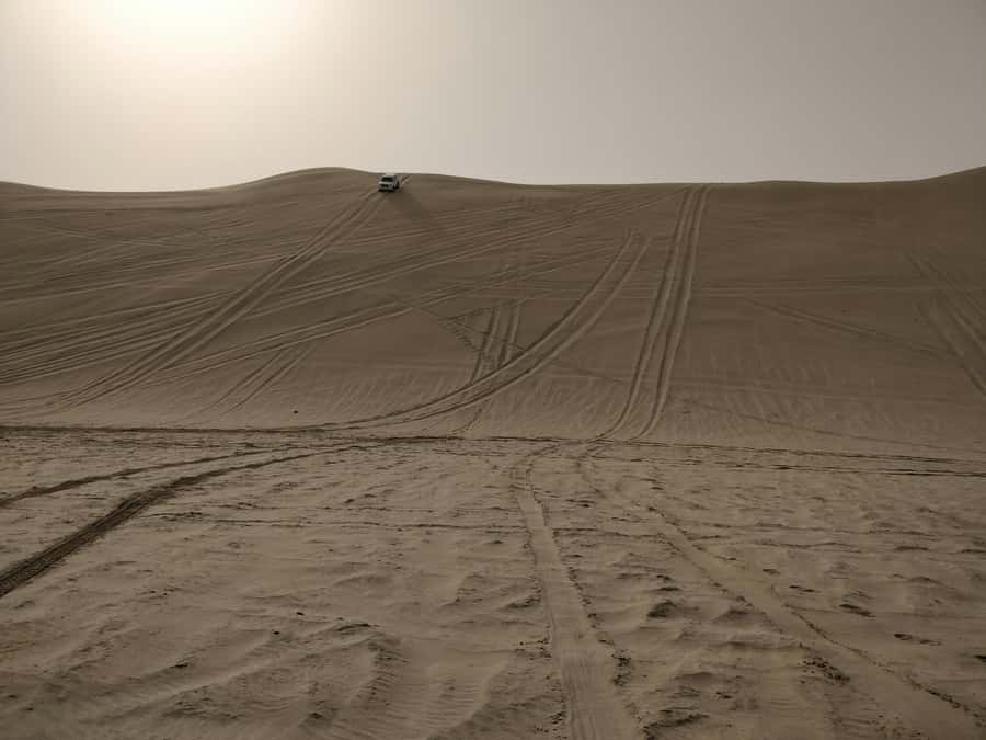 Qatar: Desert Safari, Camel Ride, Inland sea, Sandboarding - Sandboarding on Qatar’s dunes