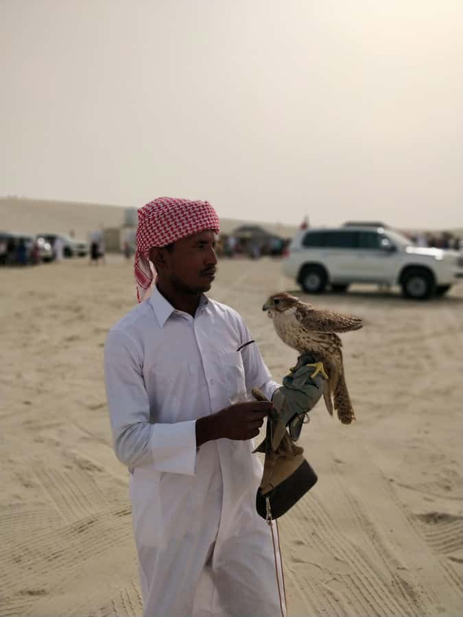 Qatar: Desert Safari, Camel Ride, Inland sea, Sandboarding - Who will enjoy this safari most?