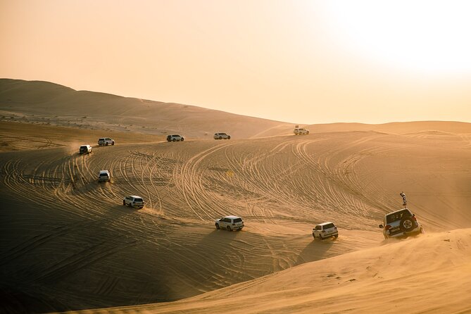 Qatar Desert Safari, Dune Bashing (Private Safari Tour) - What $90 per person gets you