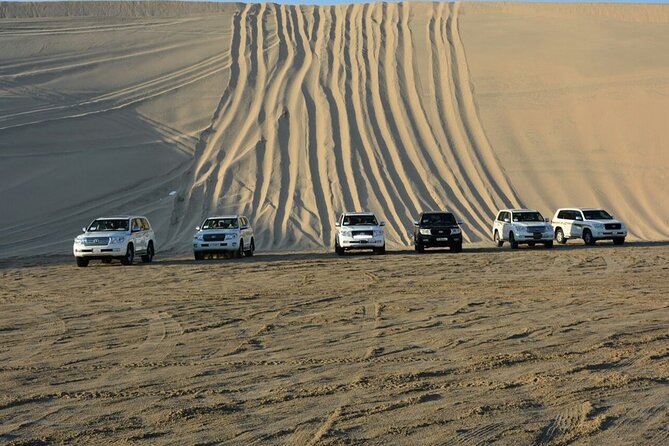 Qatar Desert Safari, Dune Bashing (Private Safari Tour) - Who will enjoy this half-day safari