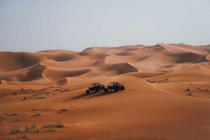 Qatar Desert Thrills Self Ride Dune Buggy Safari and Camel Ride - Is $199 a fair price?