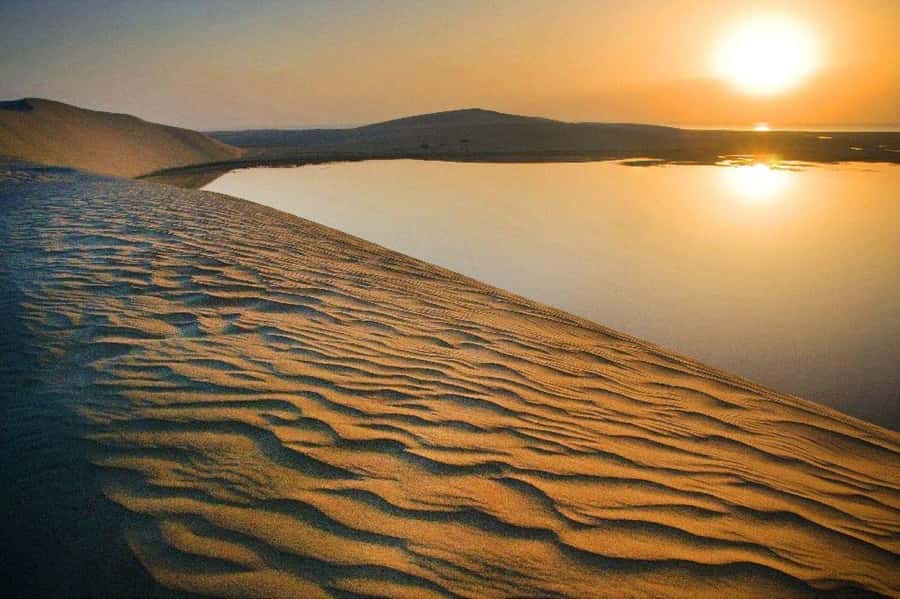 Qatar (Doha): City and Desert Safari Tour (Combo Package) - Starting in Doha and heading toward the dunes
