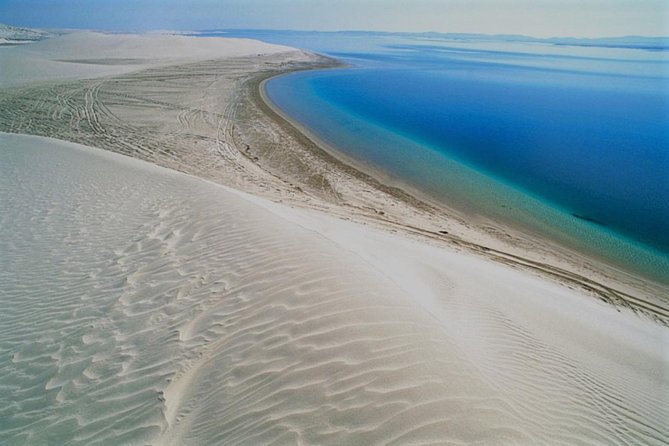Qatar Gold Dune Safari, Dune Bashing,Camel Ride,Sand Boarding,Inland Sea Desert - The camel camp: five minutes in the saddle