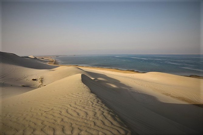 Qatar Gold Dune Safari, Dune Bashing,Camel Ride,Sand Boarding,Inland Sea Desert - Who will enjoy this safari most