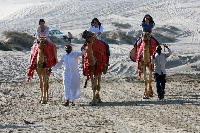 Qatar Half Day Desert Safari(Camel Rides & Sandboarding) - Who will enjoy this four-hour tour