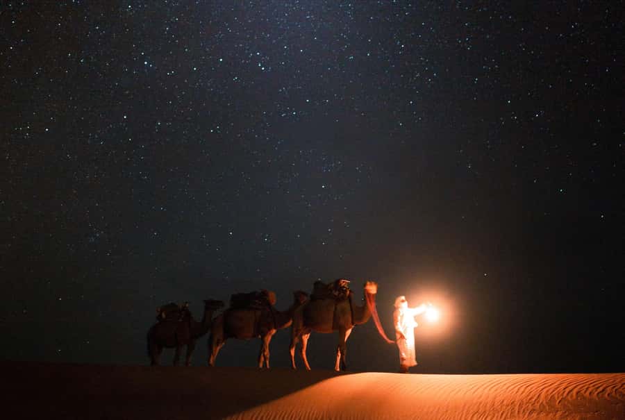 Qatar: Night Desert Safari| Camel Ride| Inland Sea Beach - Night skies change the mood